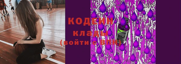 соль ск Балахна